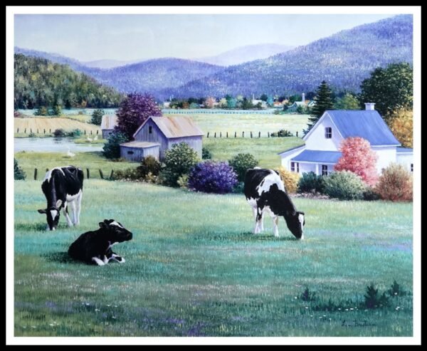 CAP 1335 Sunny Afternoon